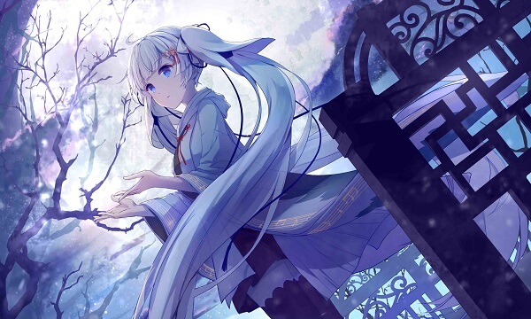 Linux VPS 禁用或启用 IPv6